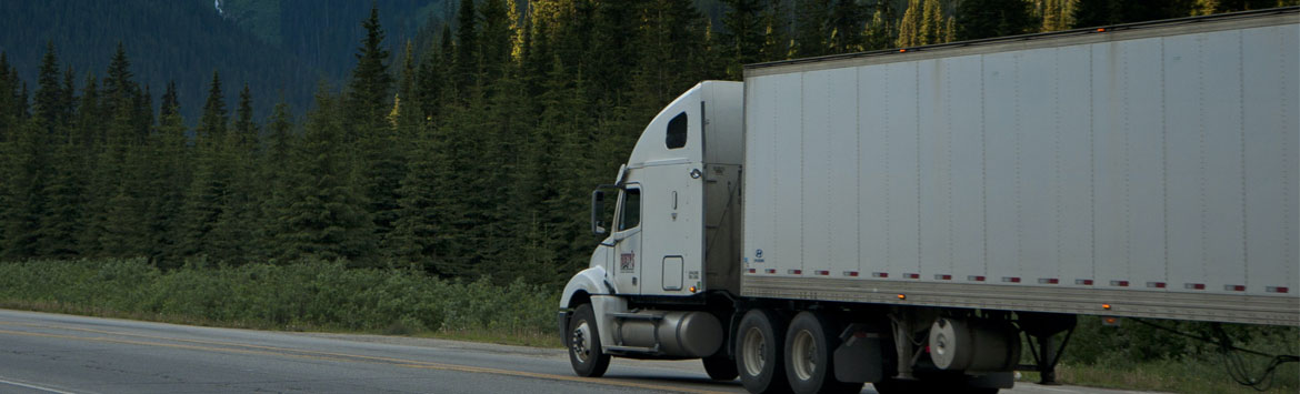 Heavy Duty Truck